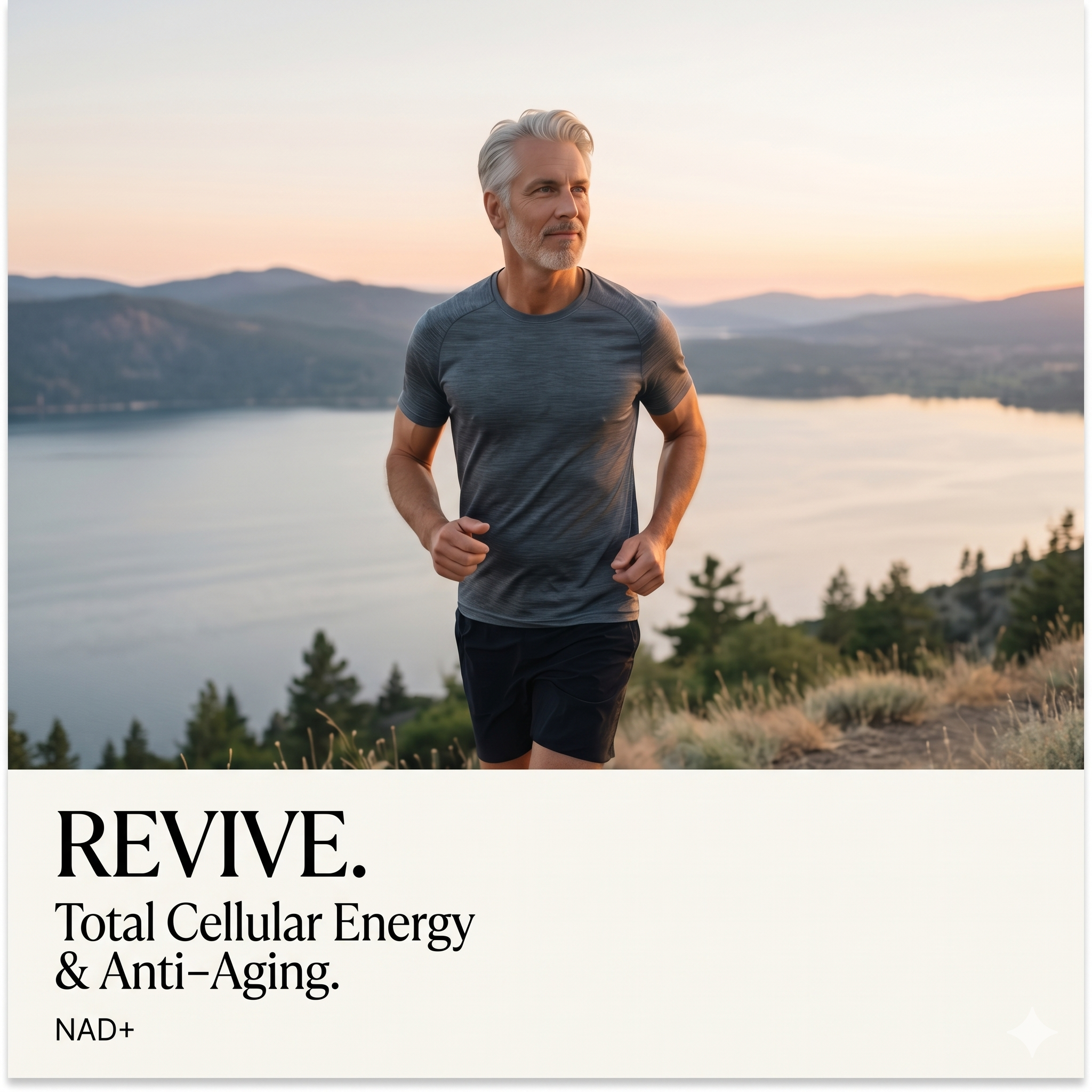 NAD+ (reconstituted)